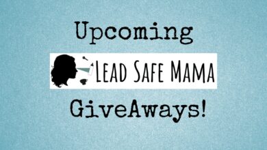 leadsafemama